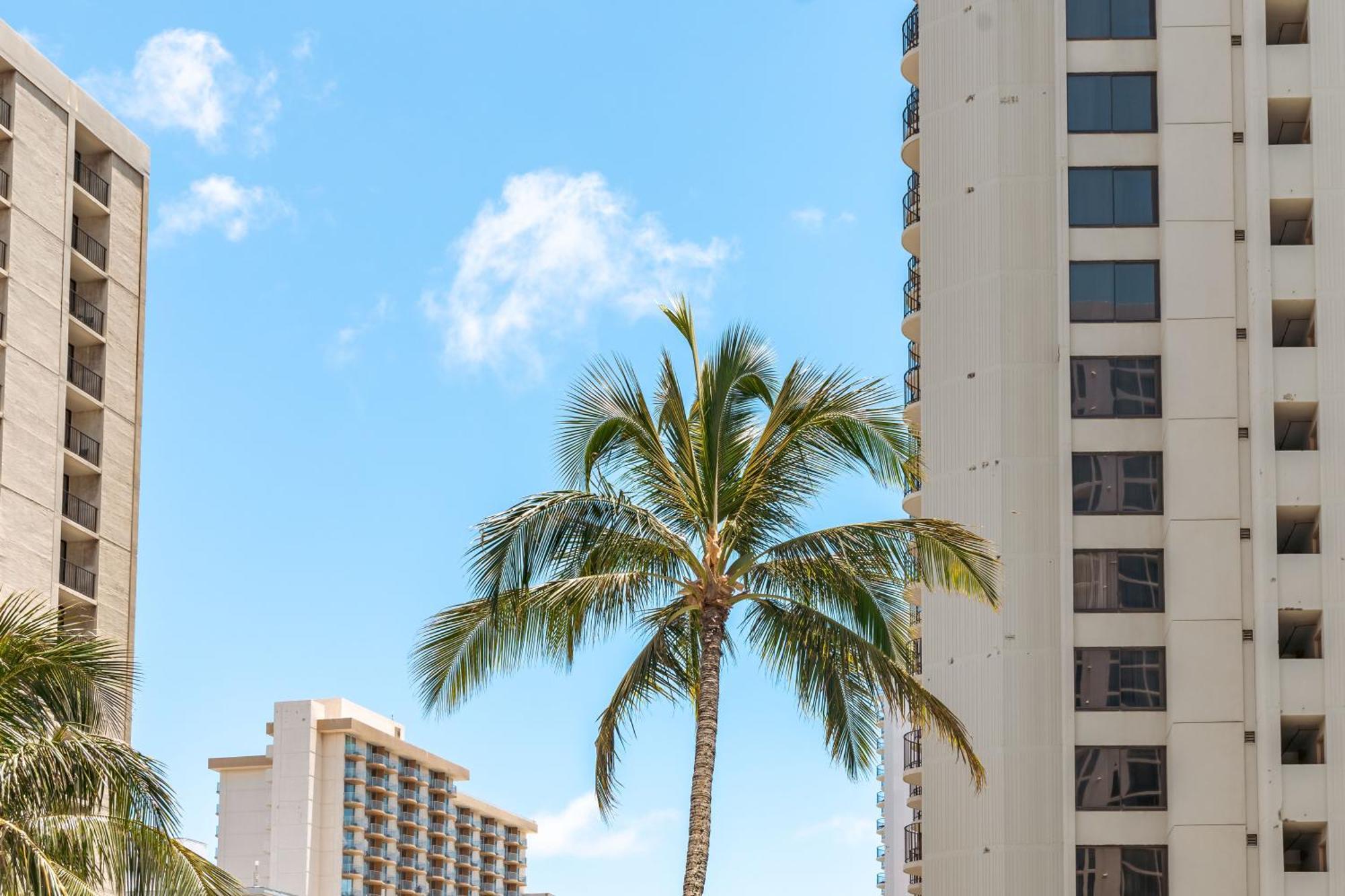Beautiful Ocean And Diamond Head Views With Parking Διαμέρισμα Χονολουλού Εξωτερικό φωτογραφία