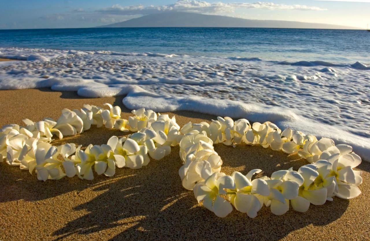 Beautiful Ocean And Diamond Head Views With Parking Διαμέρισμα Χονολουλού Εξωτερικό φωτογραφία
